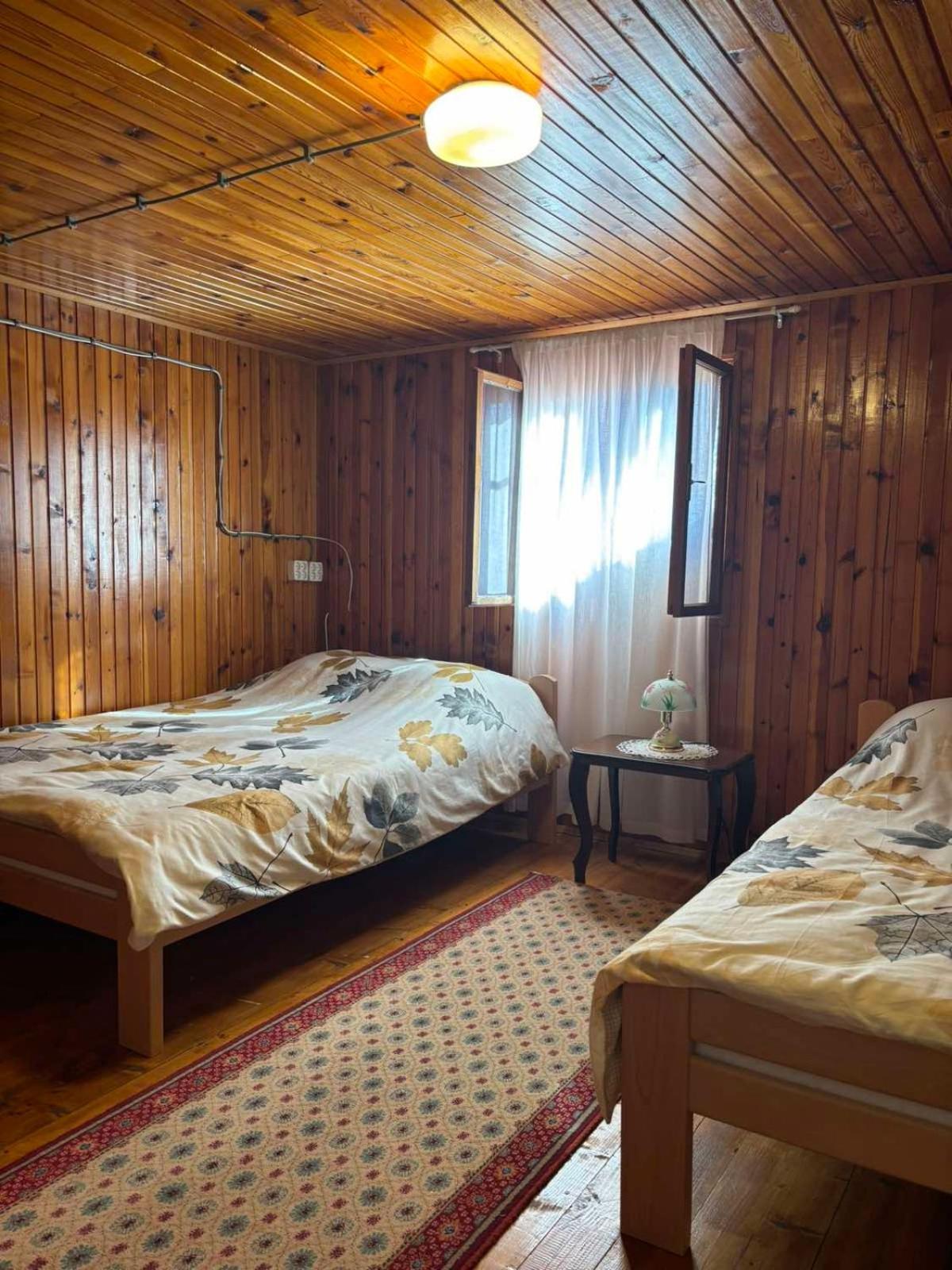 Ljubav Stara Zaovine Hotel Lazici Ngoại thất bức ảnh
