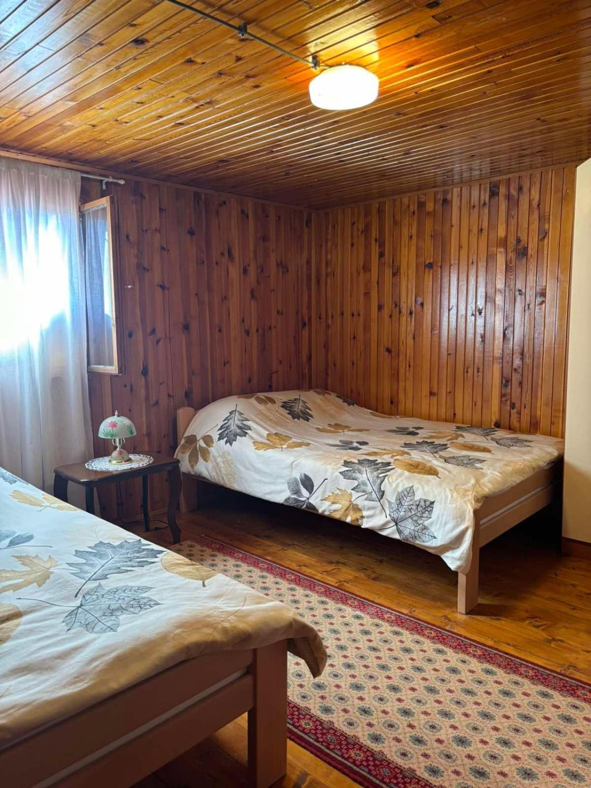 Ljubav Stara Zaovine Hotel Lazici Ngoại thất bức ảnh